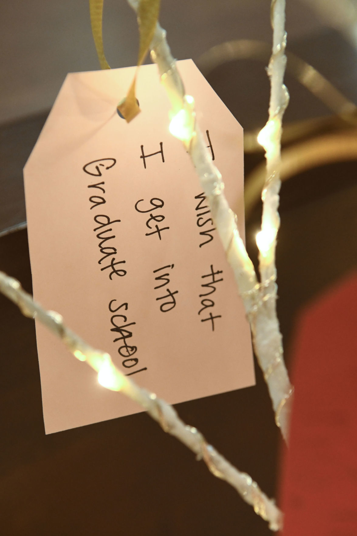 120219 Wishing trees 09.jpg